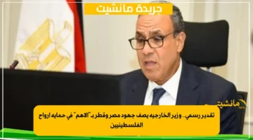 تقدير رسمي.. وزير الخارجية يصف جهود مصر وقطر بـالأهم في حماية أرواح الفلسطينيين 1